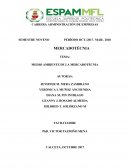 MEDIOAMBIENTE DE LA MERCADOTECNIA