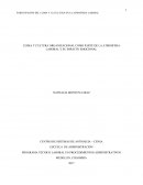 CLIMA Y CULTURA ORGANIZACIONAL COMO PARTE DE LA ATMOSFERA LABORAL Y SU IMPACTO EMOCIONAL
