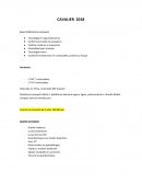 BASE PROPUESTA CAVALIER