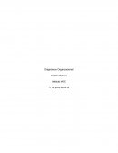 Diplomado gestion publica