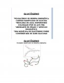 Clase de glucogeno