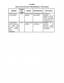 Capacidad de la tierra