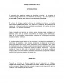 Medición del trabajo taller