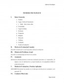 Ejemplo de un informe integrado