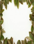 Conservación y aprovechamiento de recursos naturales