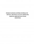 REHABILITACIÓN DEL SISTEMA DE DRENAJE DE BOYACÁ II MANUAL