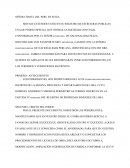 PODER ESPECIAL CONSULADO PERU