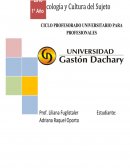 Observacion de sistematización