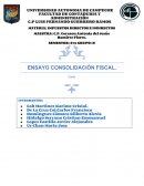 La consolidacion fiscal