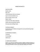 Informe psicológico Pruebas