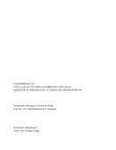Pensamiento Estratégico y Gerencia Global Guía No. 3 La implementación de la estrategia