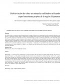 La biolixiviación