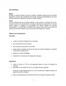 Seguridad de plan estratégico