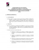 SOCIEDAD BOLIVIANA DE CEMENTO AUDITORIA FINANCIERA AL ACTIVO FIJO