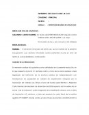 ANALISIS DE LA RESOLUCION