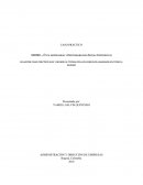 ÉTICA EMPRESARIAL Y RESPONSABILIDAD SOCIAL CORPORATIVA