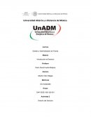 Introduccion al Derecho. Actividad 2 División del Derecho