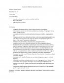 Secuencia Didáctica: Mezcla de Colores