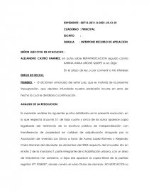 ANALISIS DE LA RESOLUCION. Página 1