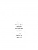 Mi futuro rol profesional