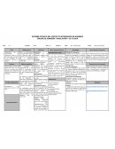 INFORME TÉCNICO DE PROYECTO PIS