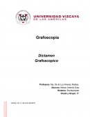 Dictamen grafoscopico