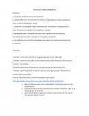 Temas para Trabajos Obligatorios