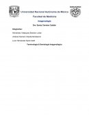 Terminología & Semiología Imagenológica