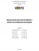 REDACCION DE SOLICITUD DE MEDIDA Y ESCRITO DE PROMOCION DE PRUEBAS