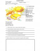 Evaluacion de lenguaje poema