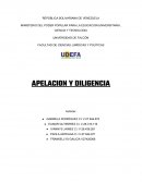 Apelación y Diligencia