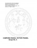 Ejemplo sobre una campaña radial