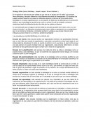 Informe de safari a la estrategia