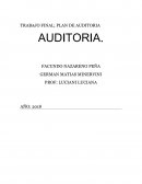 TRABAJO FINAL; PLAN DE AUDITORIA