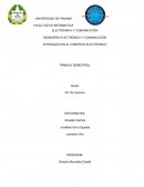 INTRODUCCION AL COMERCIO ELECTRONICO TRABAJO SEMESTRAL