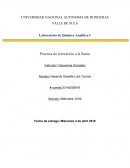 Practica de coloración a la llama