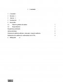 Norma internacional de auditoria 200.