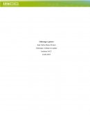 Liderazgo y género.Liderazgo y trabajo en equipo