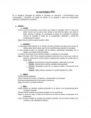 La sociología (XIX)