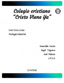 Misterio cueva Psicología Industrial