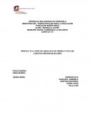 PROYECTO COMUNITARIO SOCIO PRODUCTIVO DE JABONES BIODEGRADABES