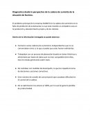 Diagnostico desde la perspectiva de la cadena de sumisito de la situación de Numico.