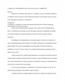 Cómo es el crecimiento de las plantas en su ambiente?