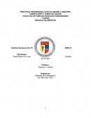Análisis sentencia del Tribunal Constitucional Dominicano 55-13