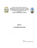 La Pirámide de Kelsen ensayo
