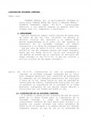 Medelo liquidacion sociedad conyugal
