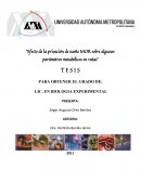 Efecto de la privación de sueño MOR sobre algunos parámetros metabólicos en ratas