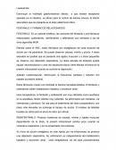 FENTANILO Y FARMACOS RELACIONADOS