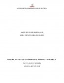 Aporte Cualidades del Archivista