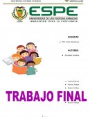 Proyecto de auditoria financiera